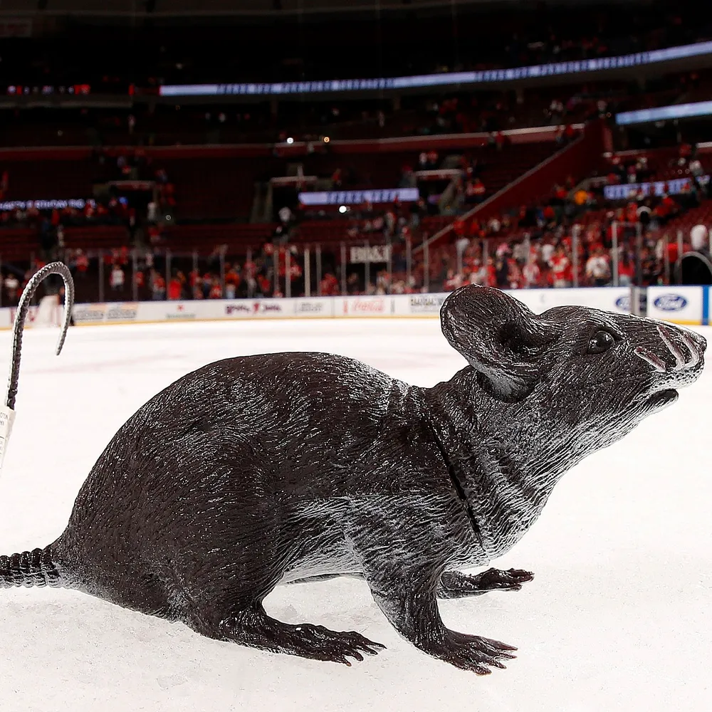 pamela-abrell.bsky.social's profile picture