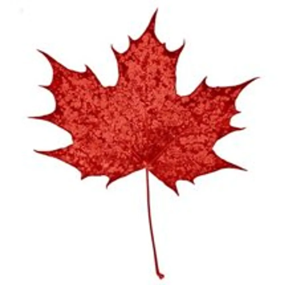 cdnresistance.bsky.social's profile picture