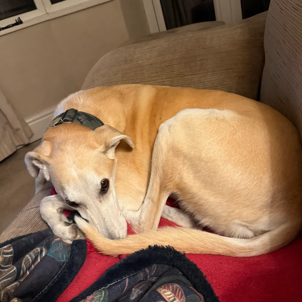 holtelower.bsky.social's profile picture