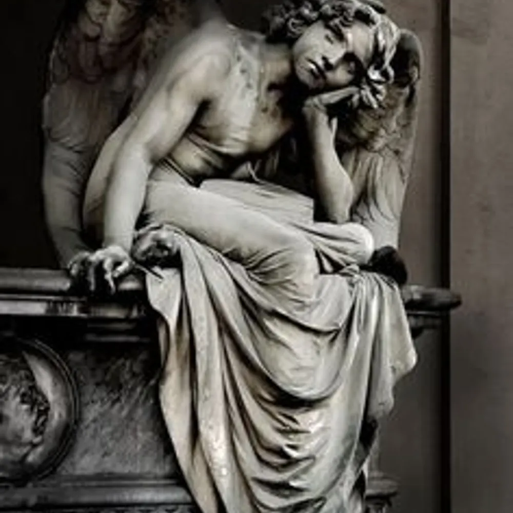 light4shadow.bsky.social's profile picture