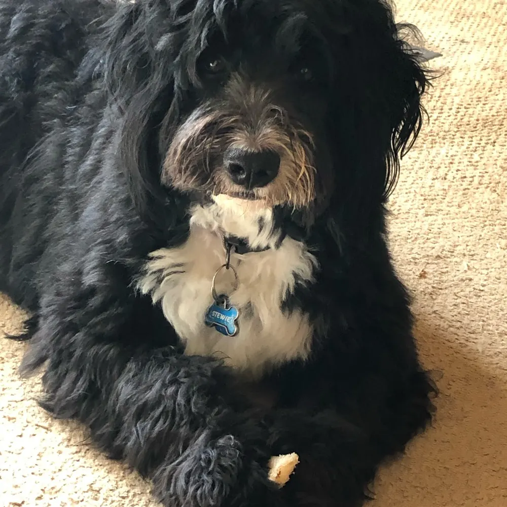 galfrompa.bsky.social's profile picture