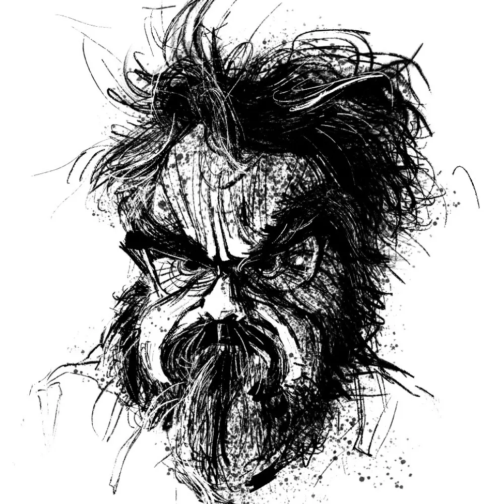 raijinq.bsky.social's profile picture