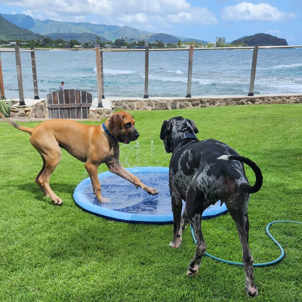 jklingensmith.bsky.social's profile picture