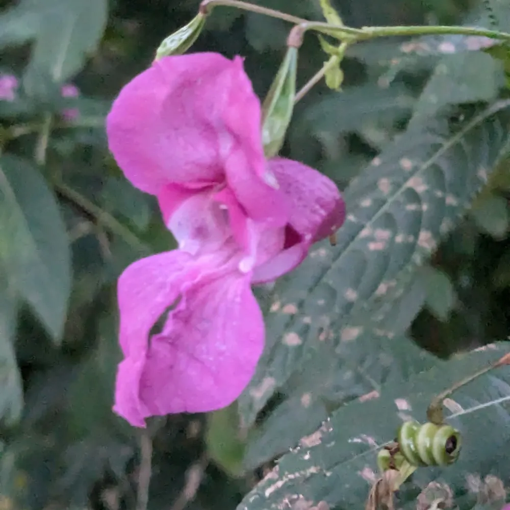 unsiecledavance.bsky.social's profile picture