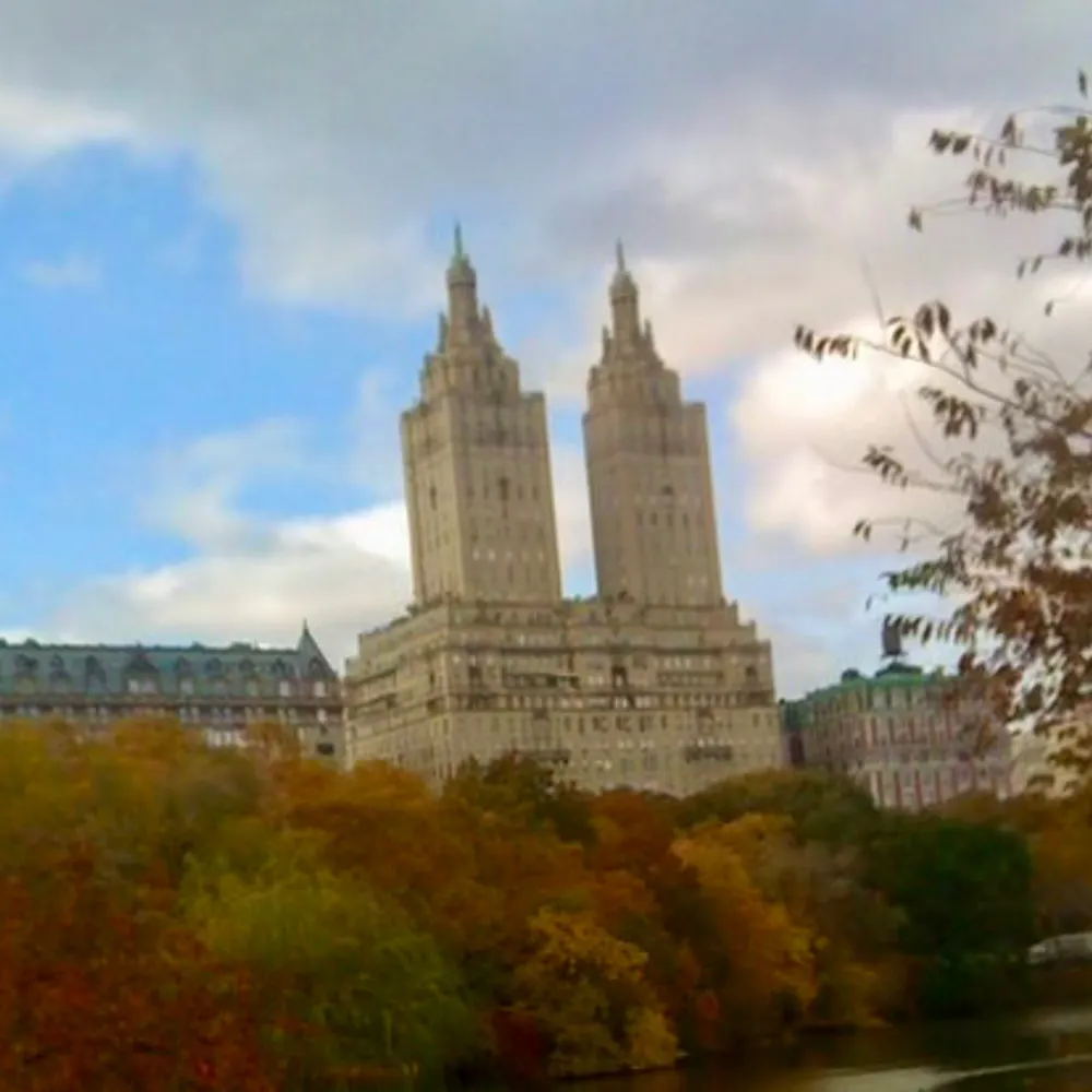 charleynobody.bsky.social's profile picture