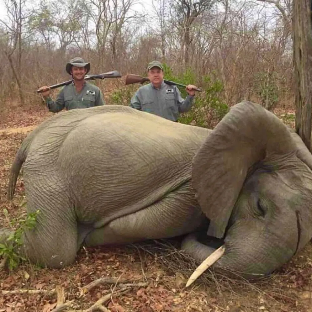 vietveteran.bsky.social's profile picture