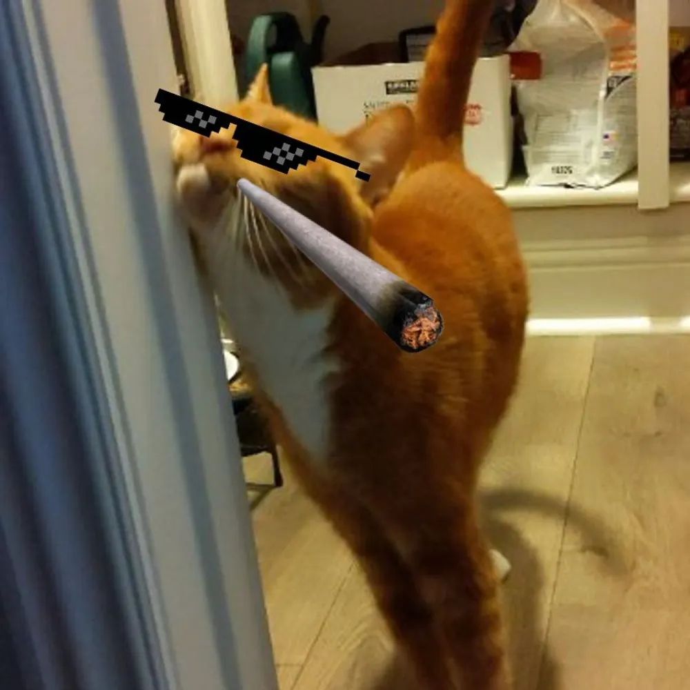 deangullberry47.bsky.social's profile picture