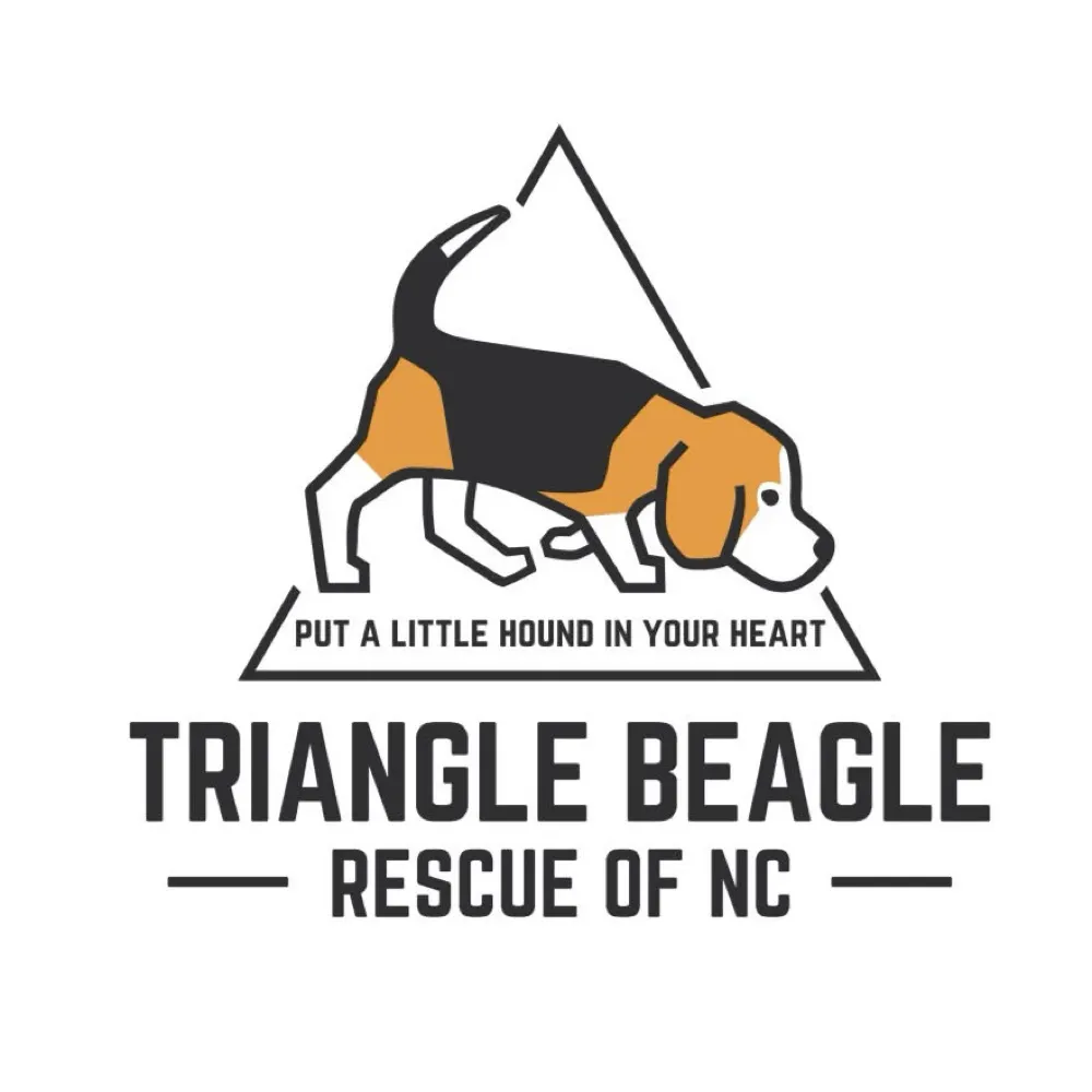 tribeagles.bsky.social's profile picture