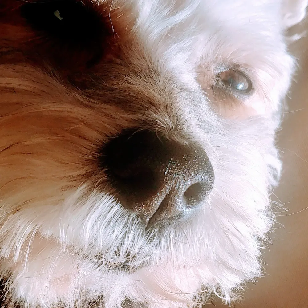 thelonesomebandit.bsky.social's profile picture