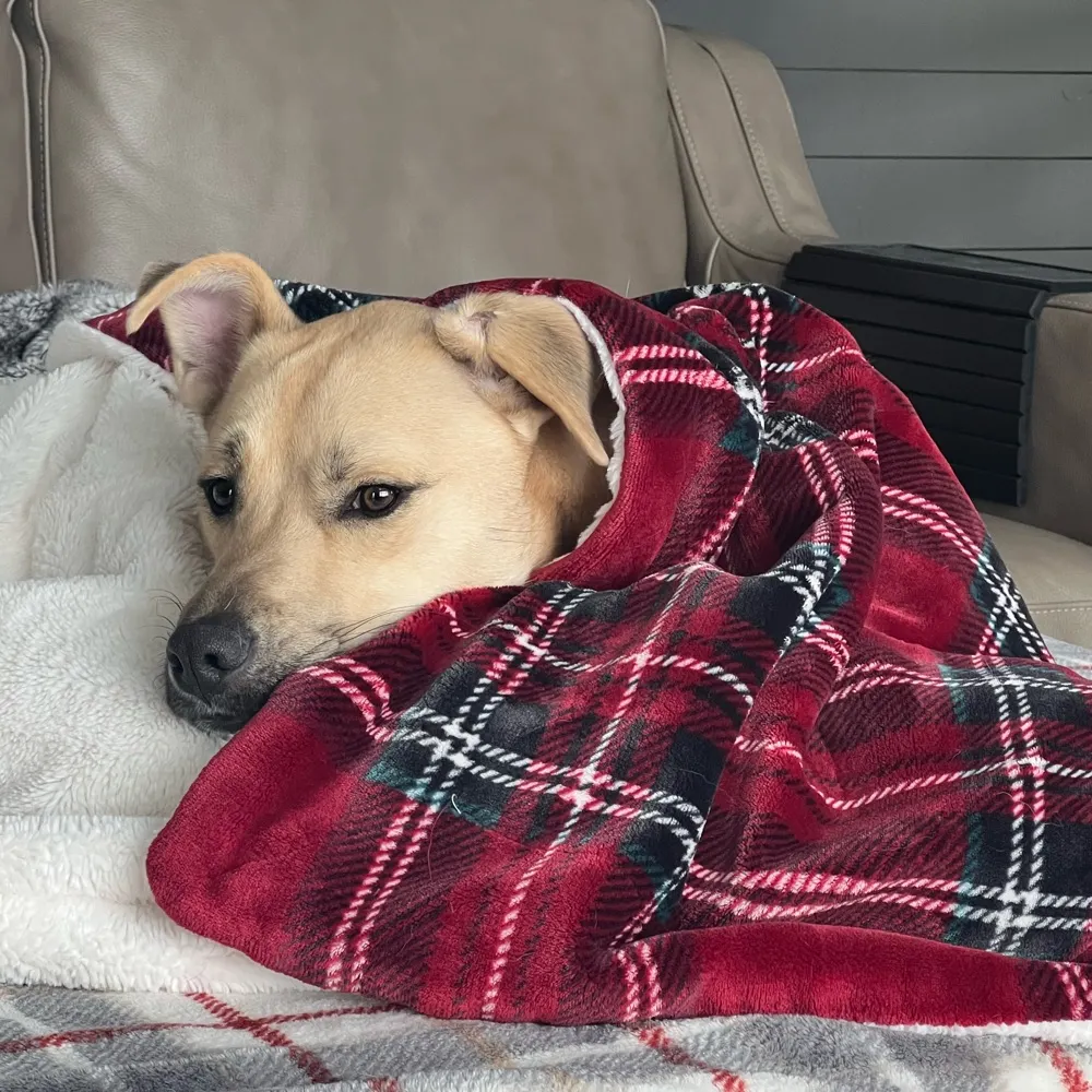 reese122.bsky.social's profile picture