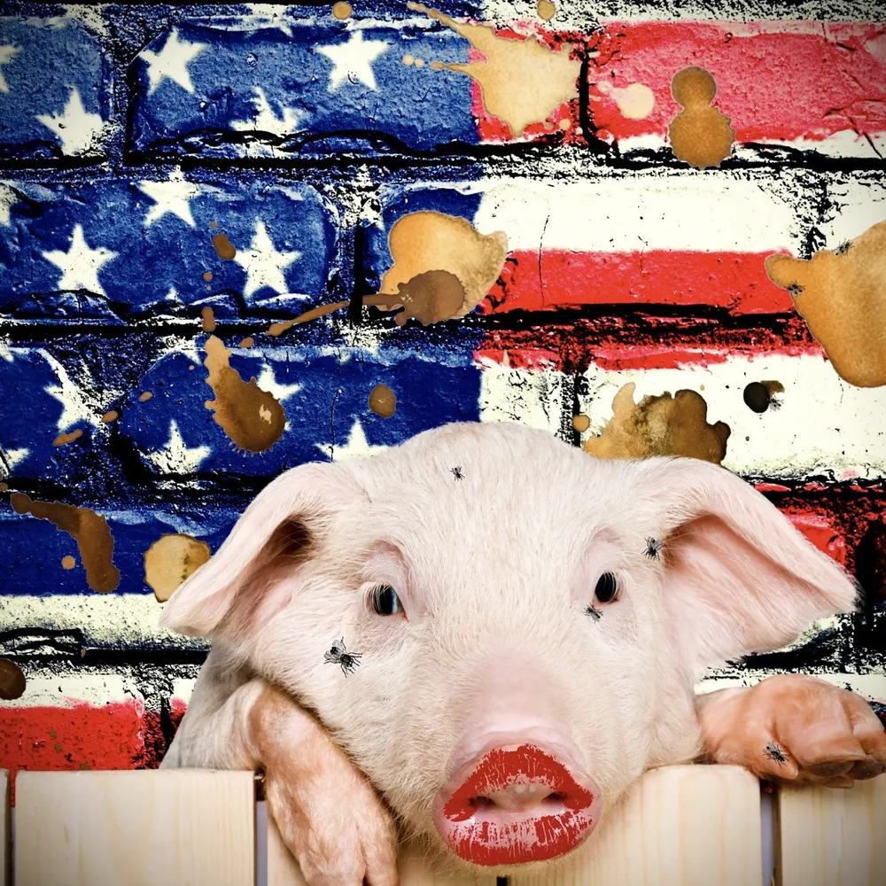 dalits888.bsky.social's profile picture