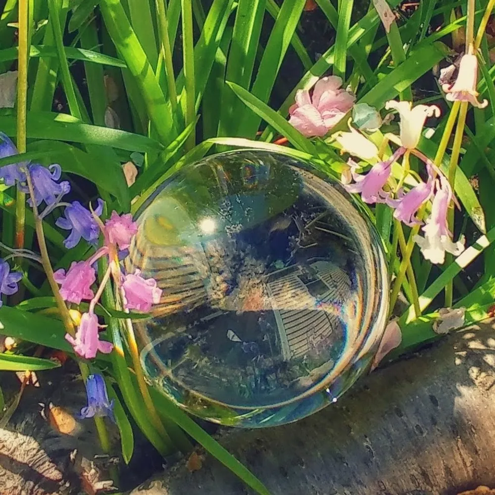 intentionality4.bsky.social's profile picture