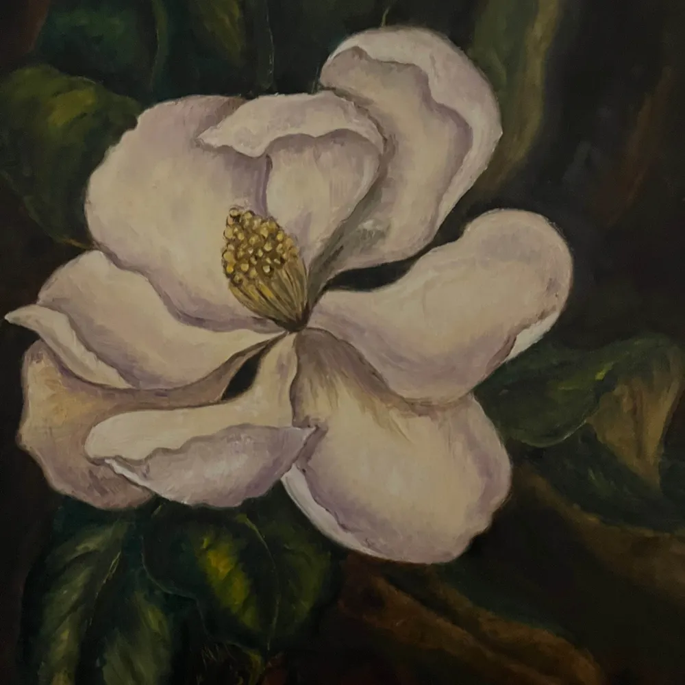 magnoliamer.bsky.social's profile picture