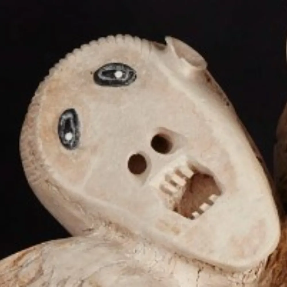 stmdc.bsky.social's profile picture