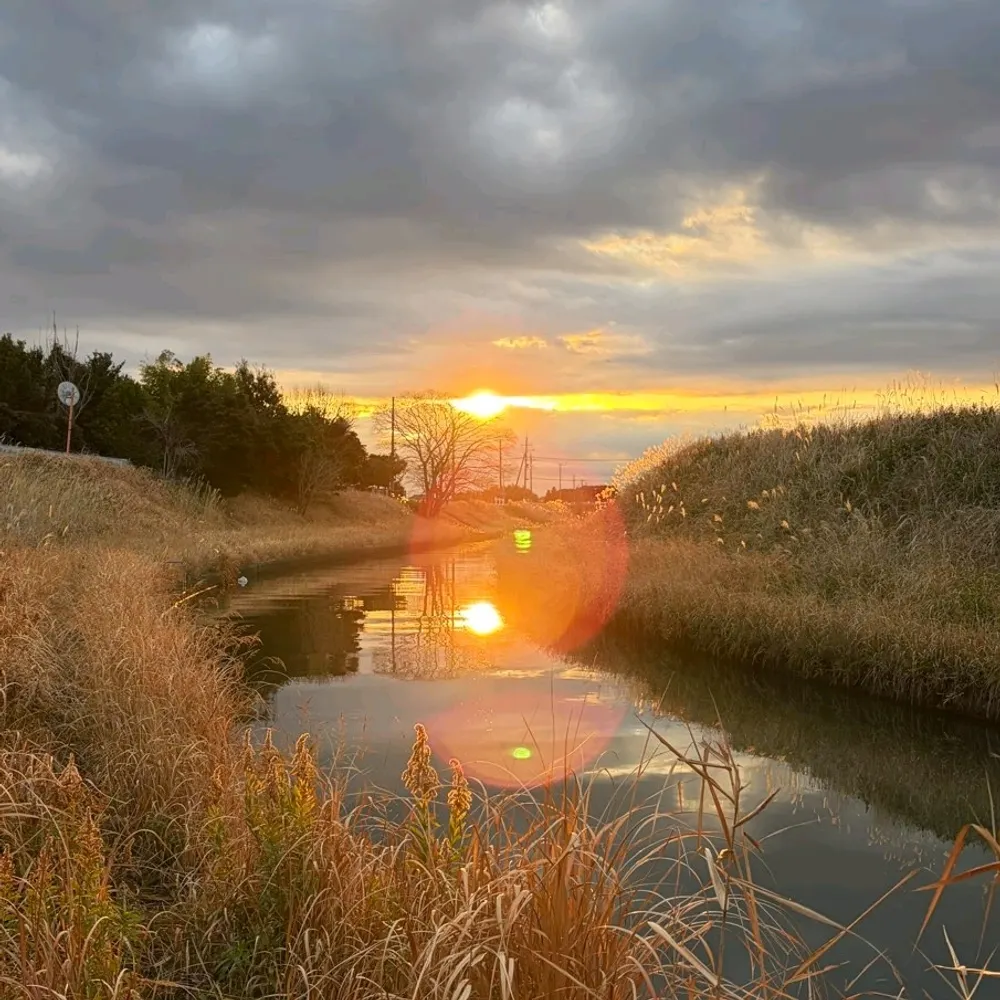 dylanhere.bsky.social's profile picture