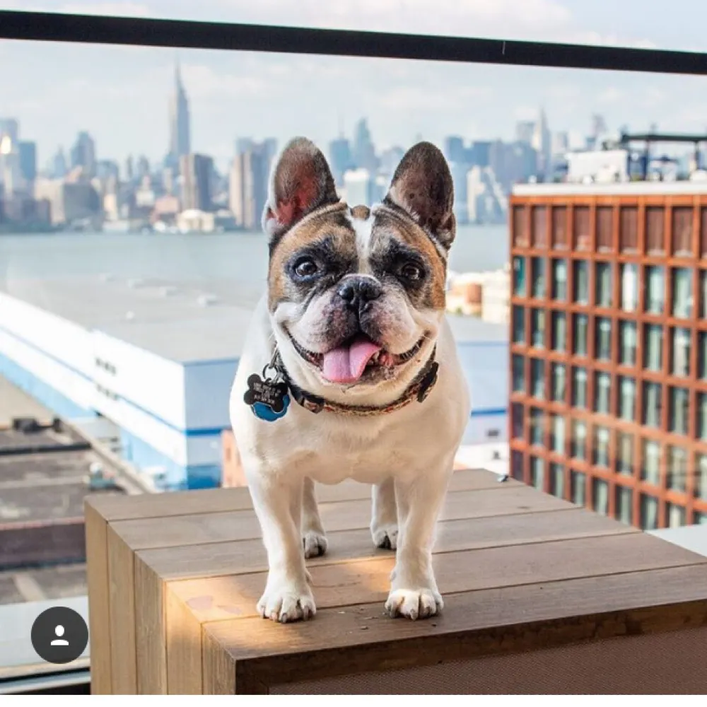 qtipwantstoknow.bsky.social's profile picture