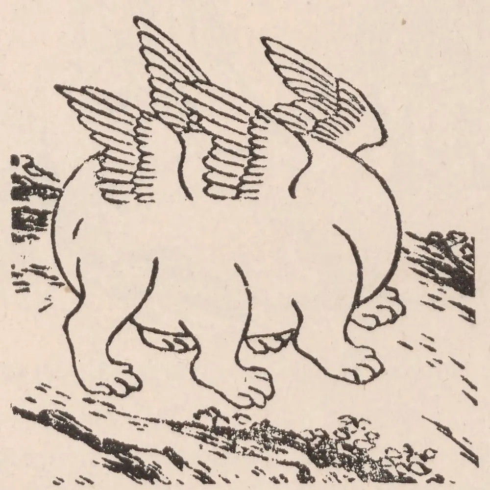 gjbmgu.bsky.social's profile picture