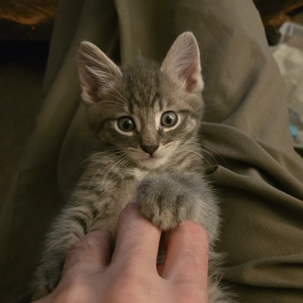 blueskysisee.bsky.social's profile picture