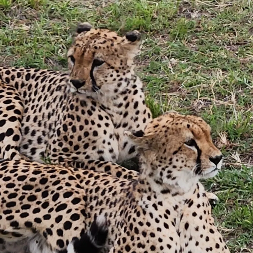 vayooper.bsky.social's profile picture