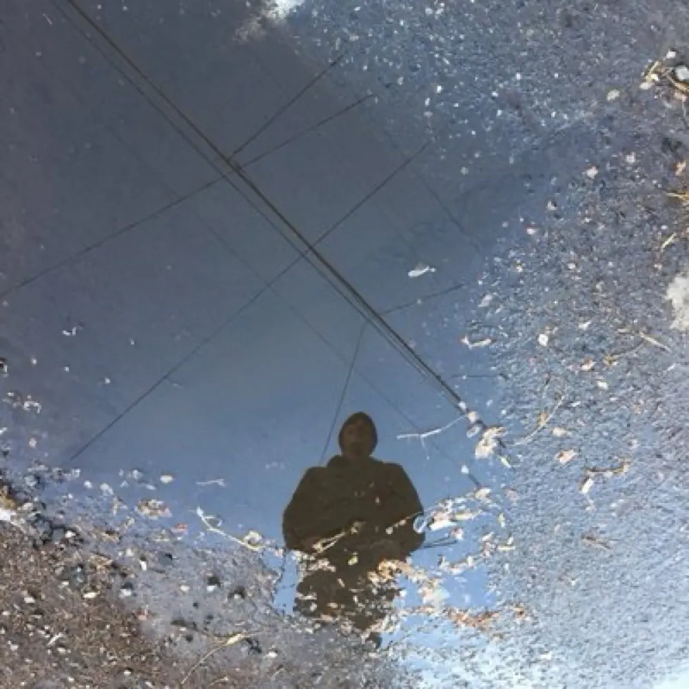 burness.bsky.social's profile picture