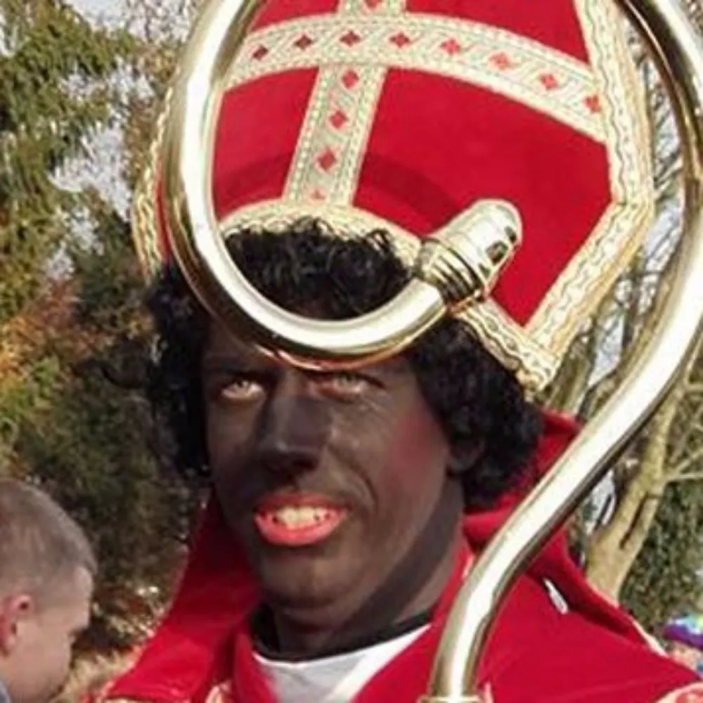 zwartepoot.bsky.social's profile picture