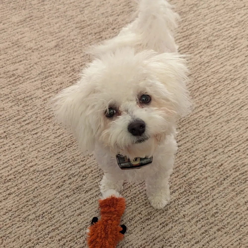 nonajd.bsky.social's profile picture