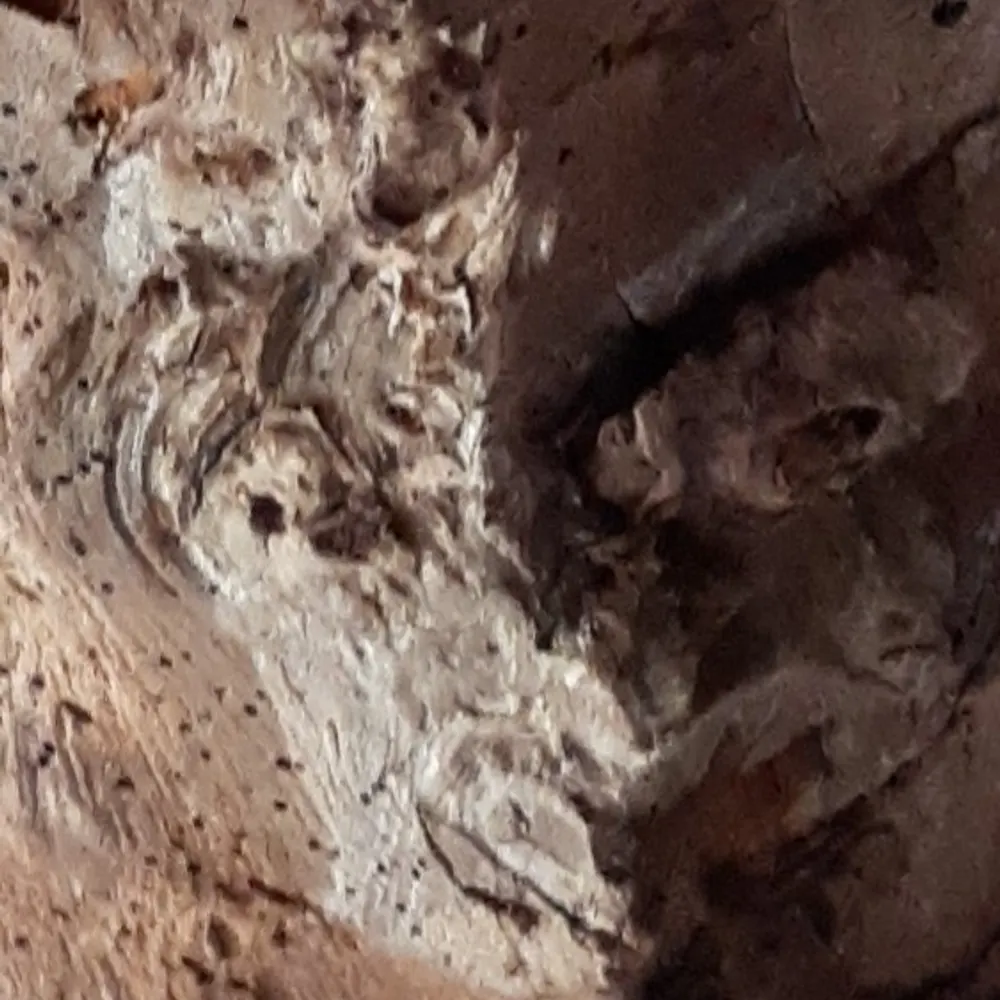 jowilliams.bsky.social's profile picture