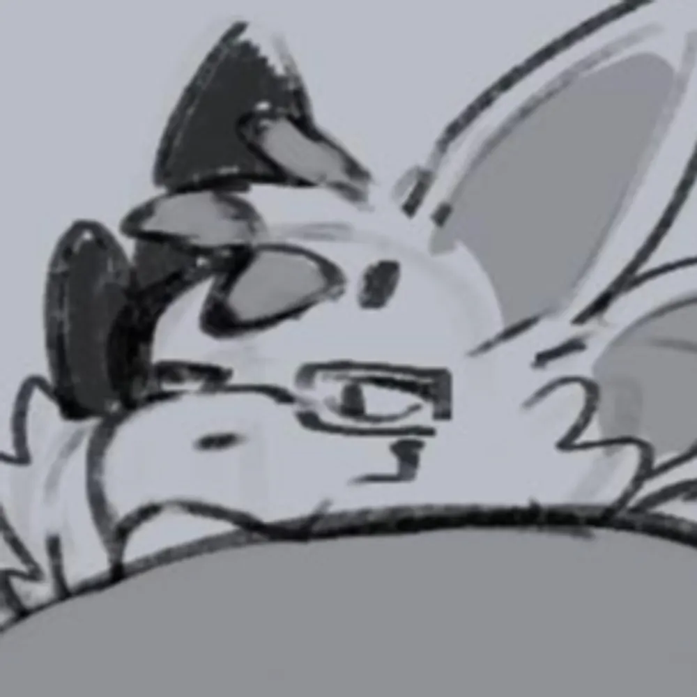 connorbear.bsky.social's profile picture