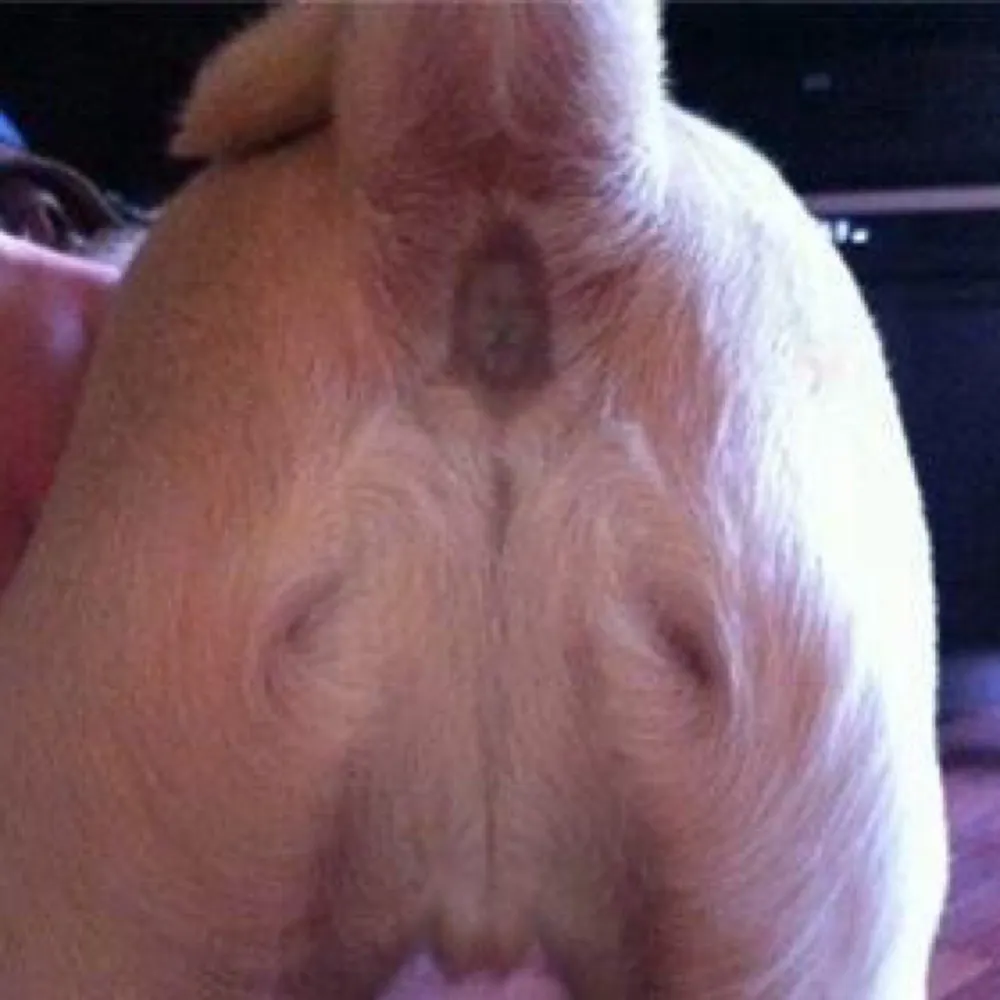 factsmatter314.bsky.social's profile picture