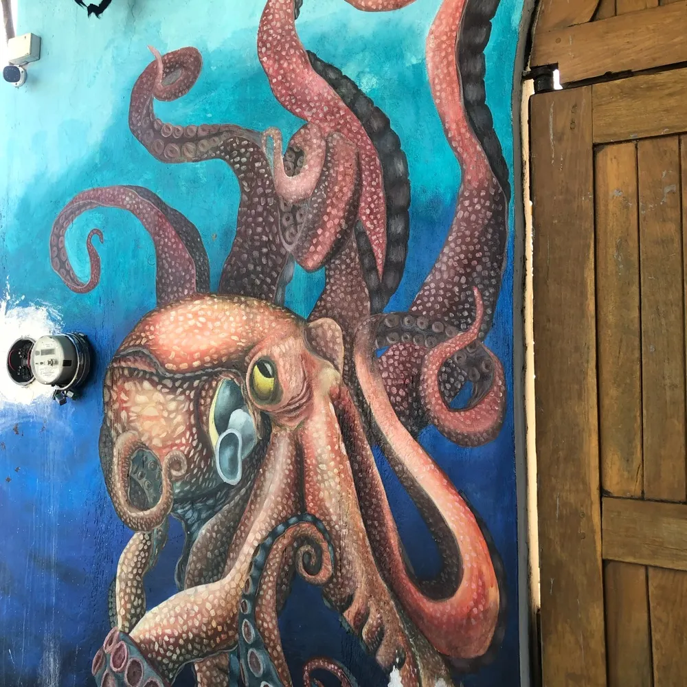 enough-already.bsky.social's profile picture