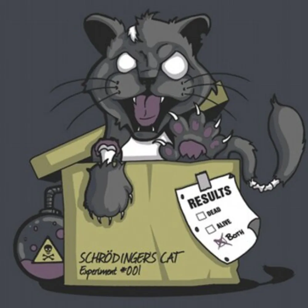 schroedinger.bsky.social's profile picture