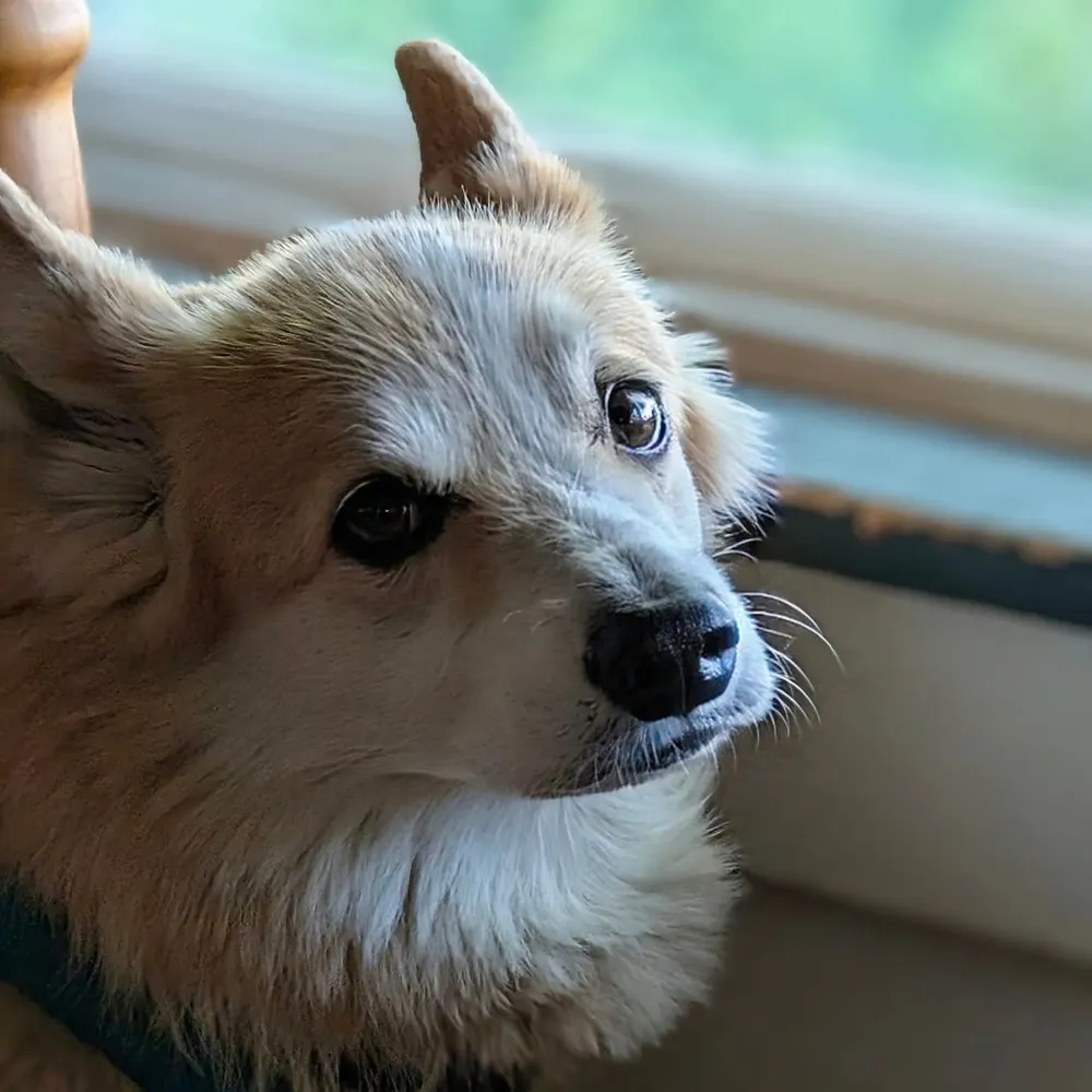 debbiehemenway.bsky.social's profile picture