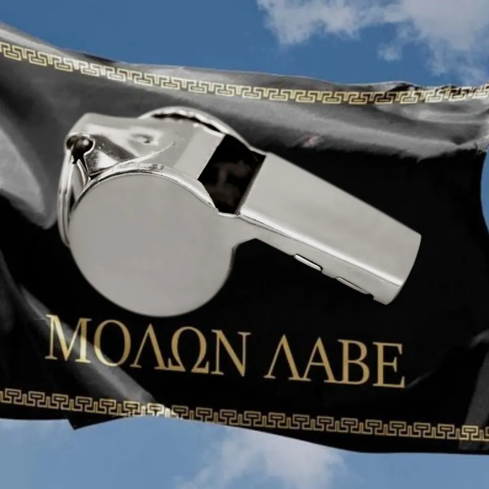 discogorilla.bsky.social's profile picture