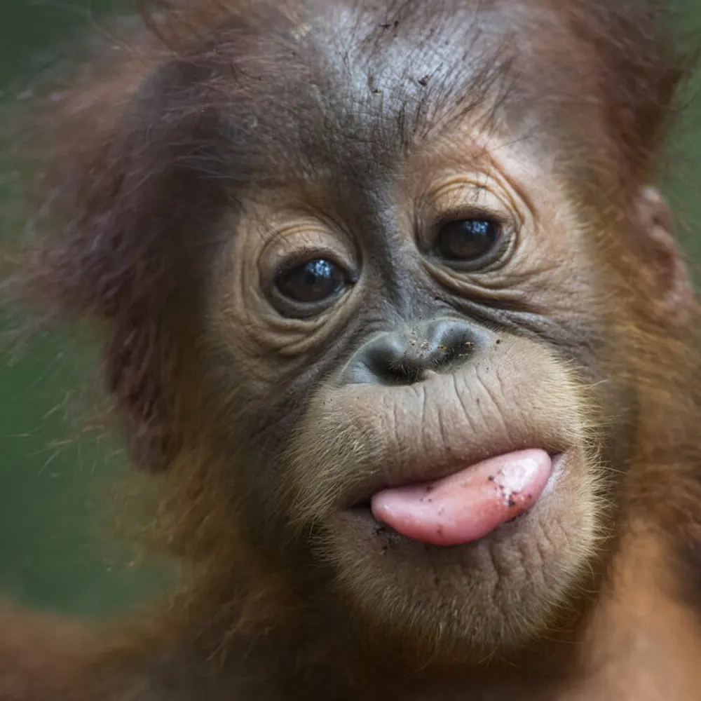 bitemedeluxe.bsky.social's profile picture