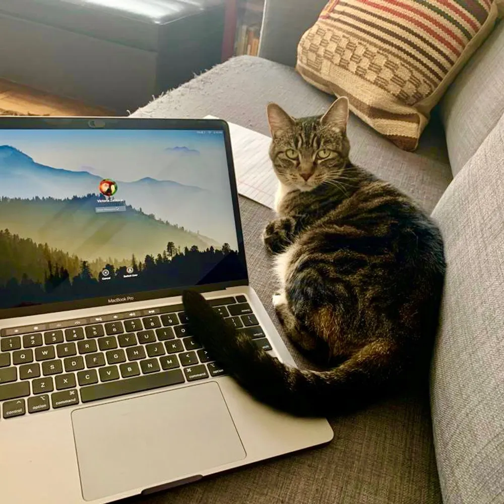 andrewsfca.bsky.social's profile picture