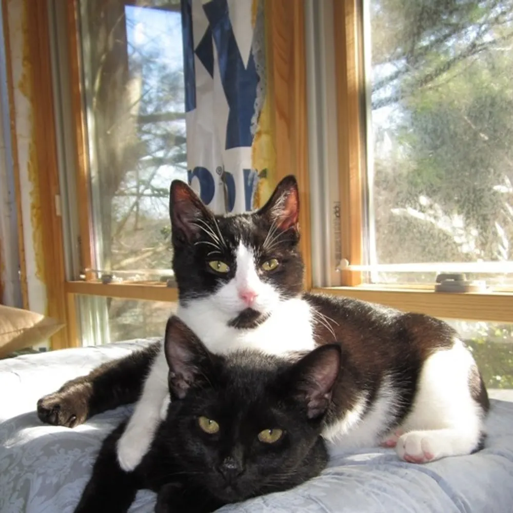 mjk4mj.bsky.social's profile picture