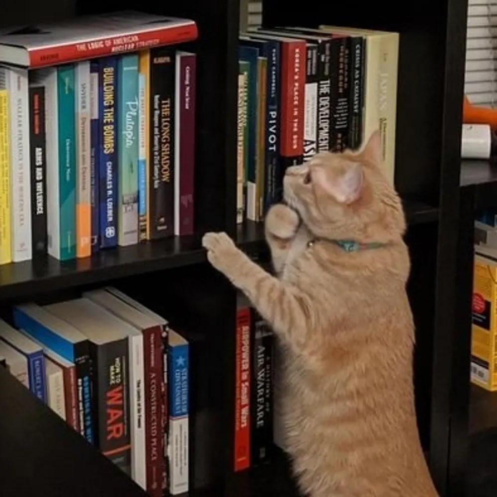 nickkodama.bsky.social's profile picture