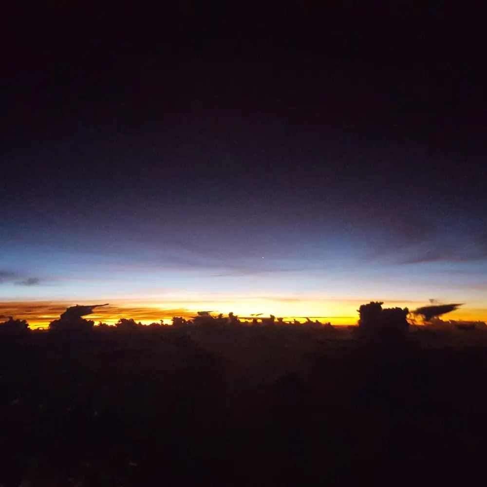 falcon801.bsky.social's profile picture