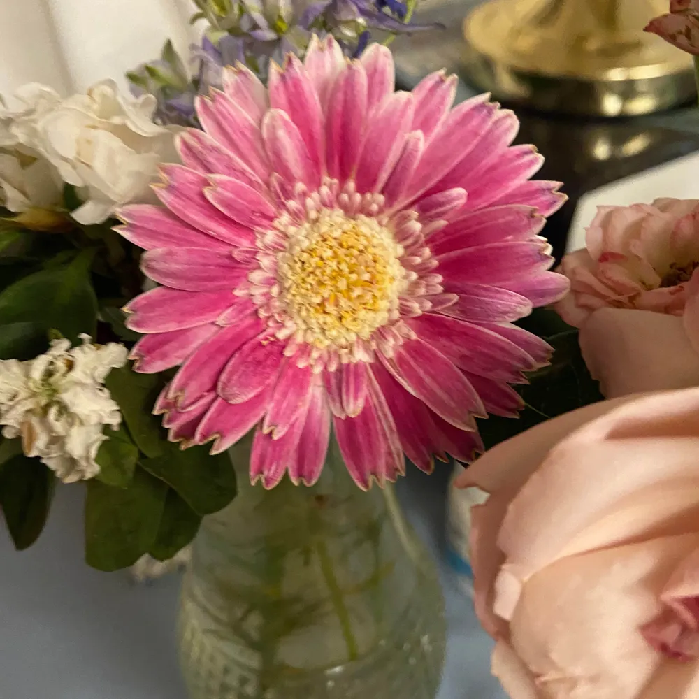 melissa0numbers.bsky.social's profile picture