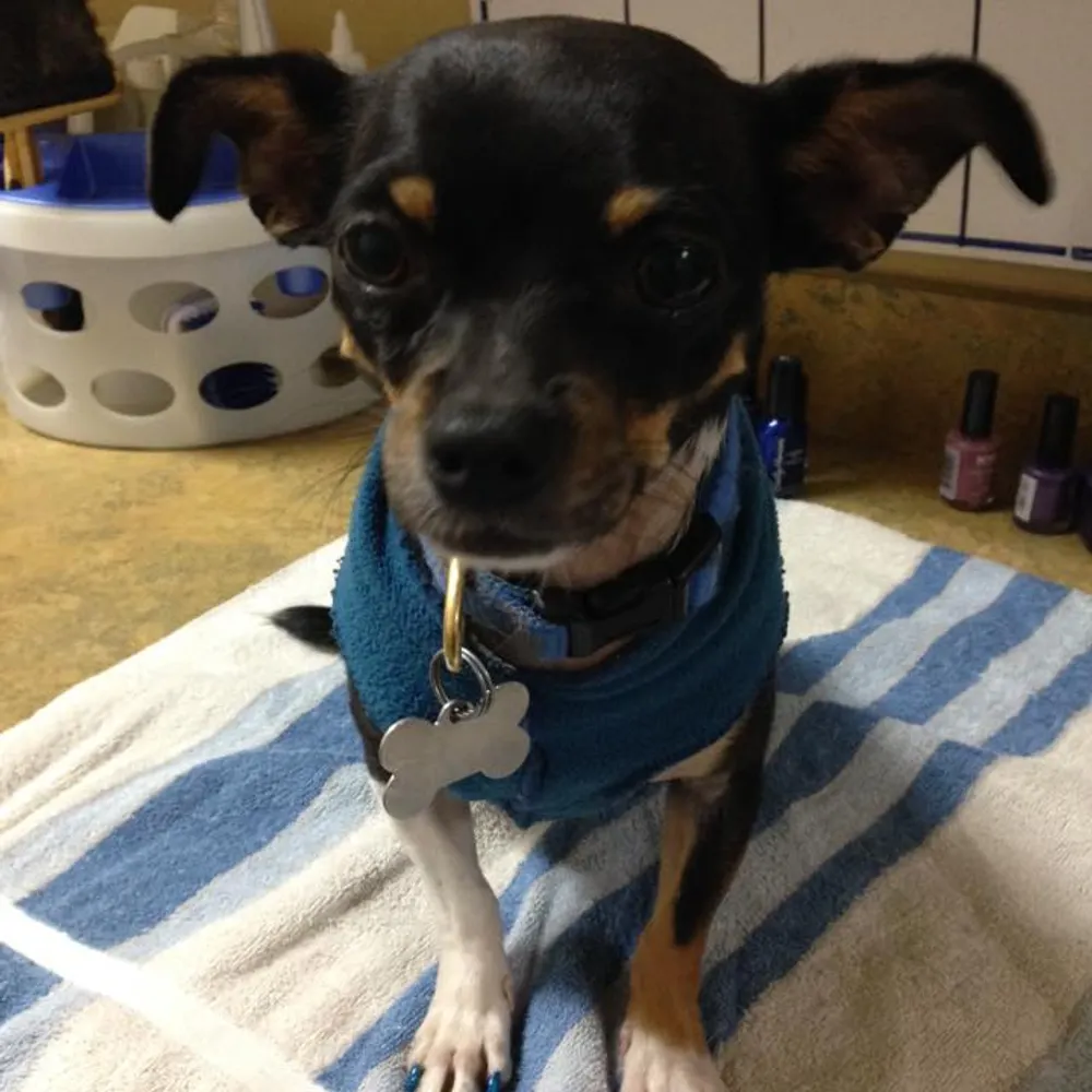 sharoneaton.bsky.social's profile picture