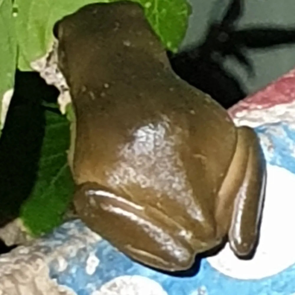 tsundokupuzzle.bsky.social's profile picture