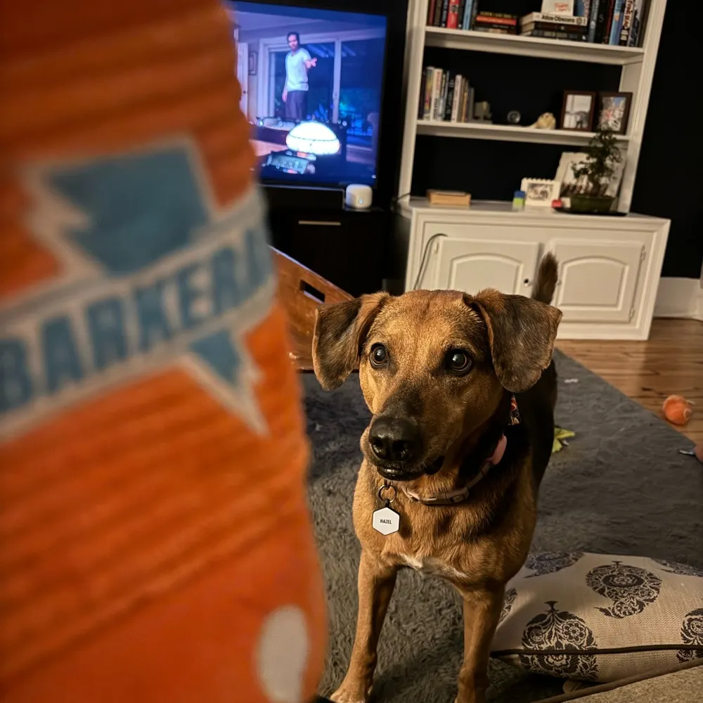 atom7895.bsky.social's profile picture