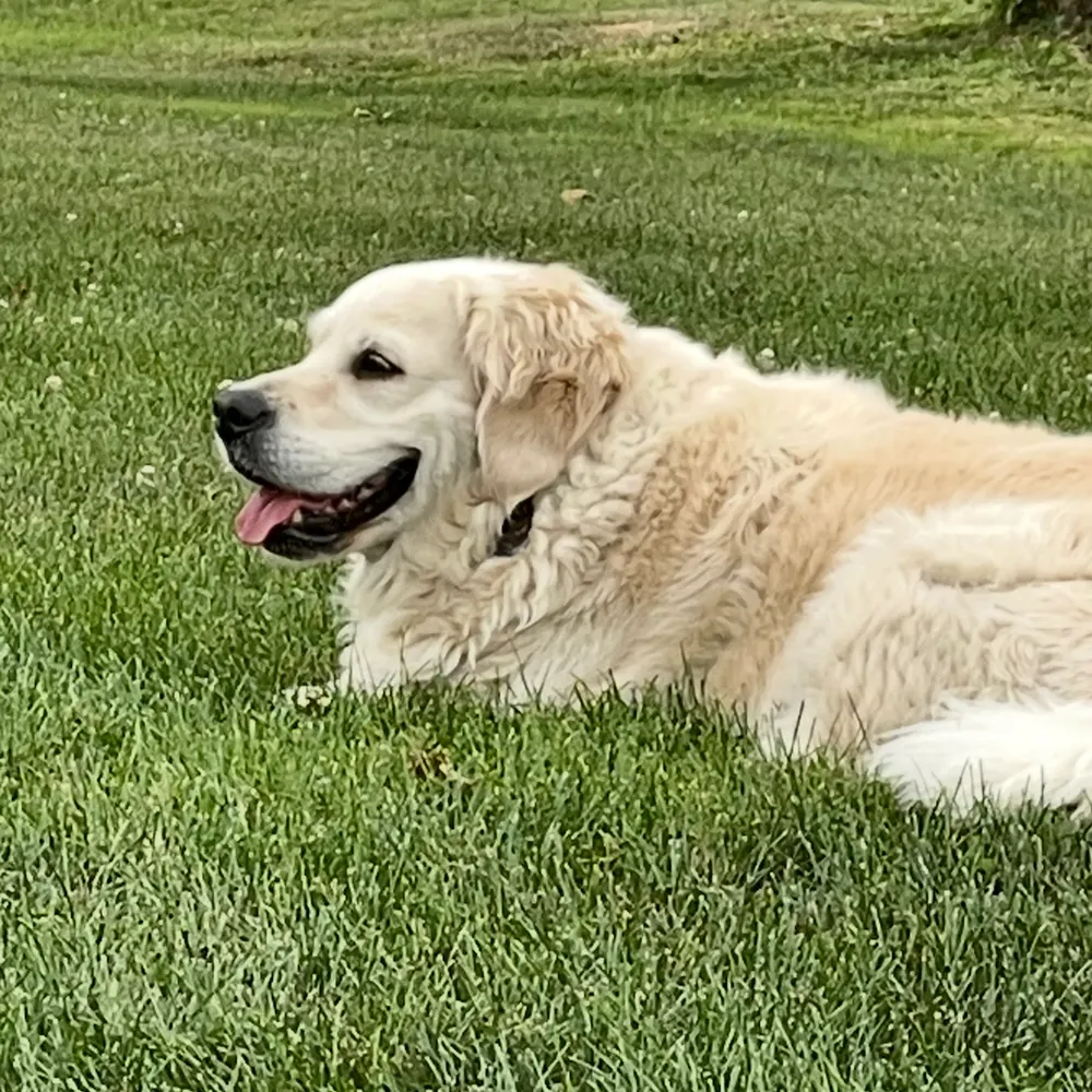 elenfornewtown.bsky.social's profile picture