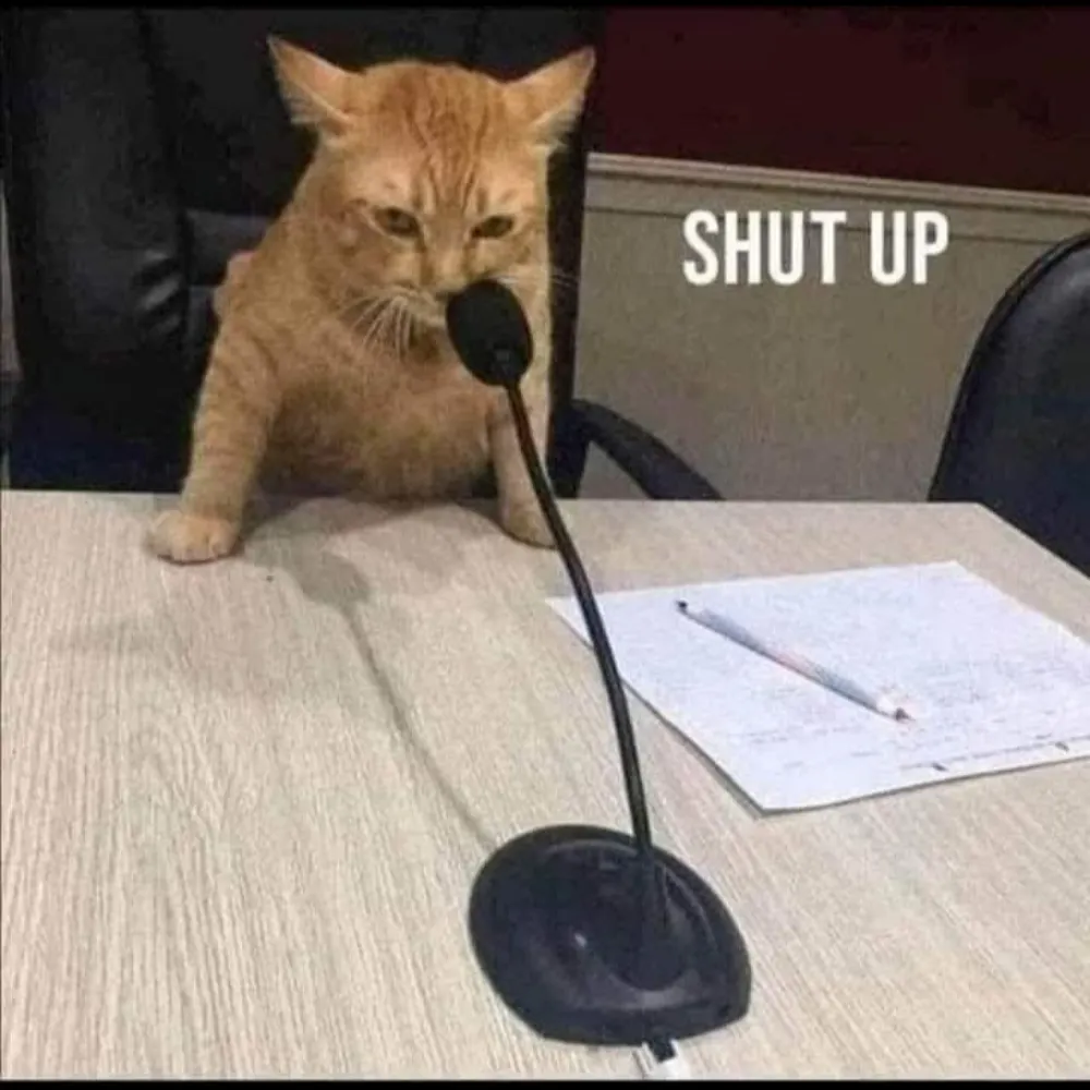 southernwarlock.bsky.social's profile picture