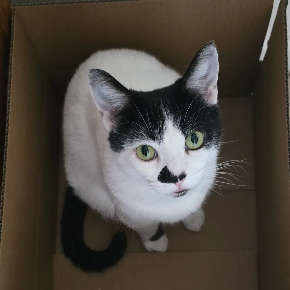 nursejill66.bsky.social's profile picture