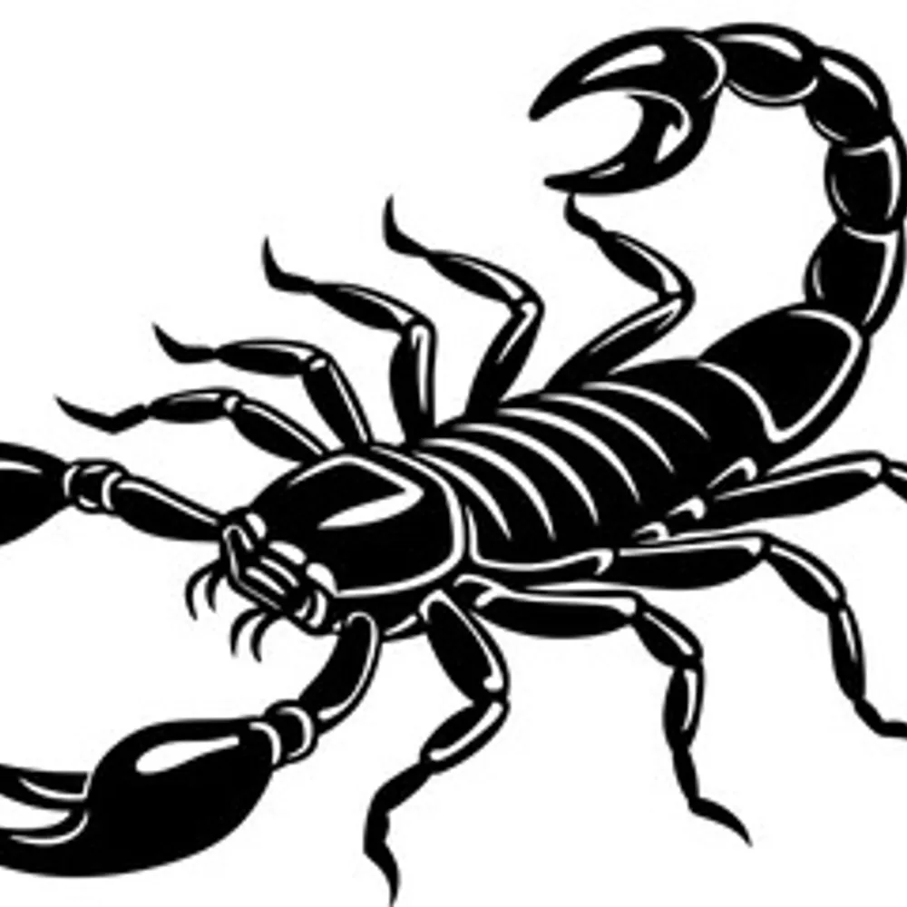 whipstitch.bsky.social's profile picture