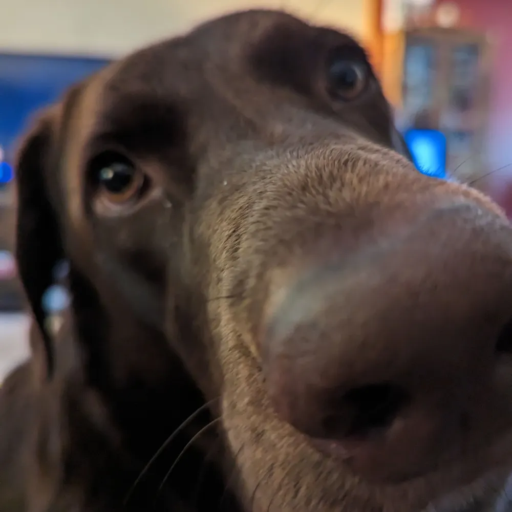 bendeboy.bsky.social's profile picture