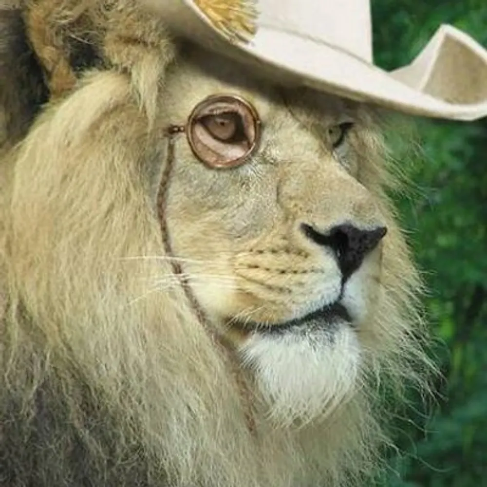 pennyforthii.bsky.social's profile picture