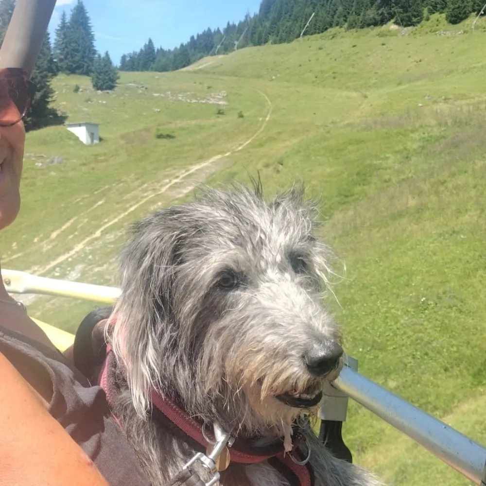 travellersuzy.bsky.social's profile picture