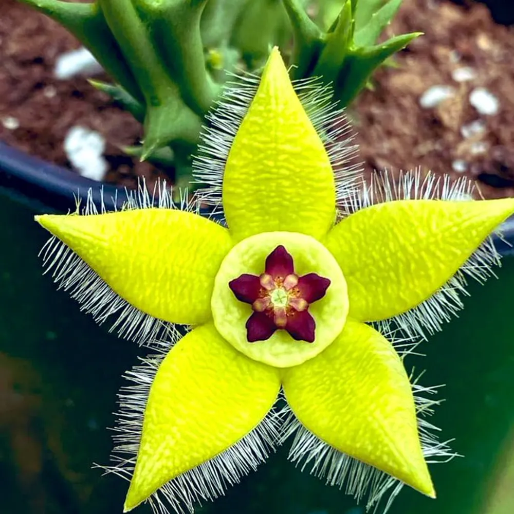 judeet44.bsky.social's profile picture